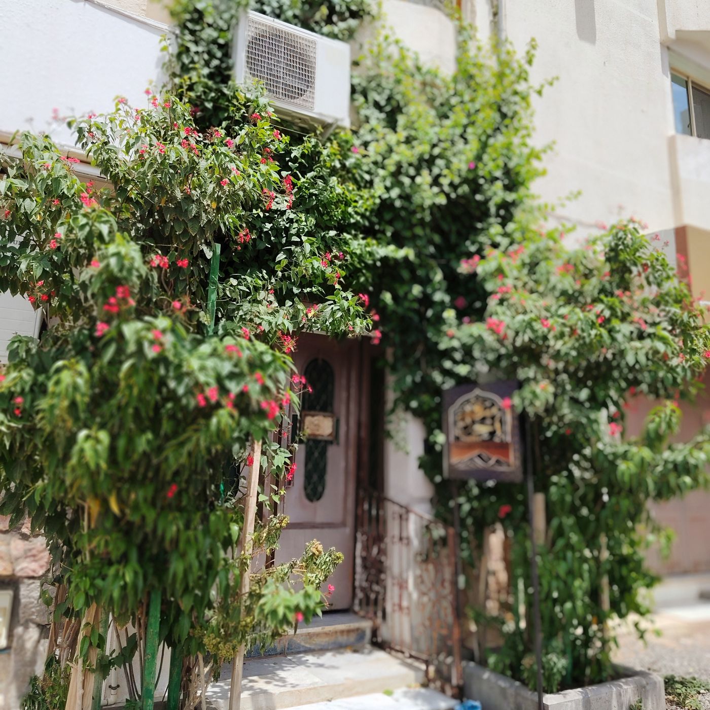 شرفة احد suite